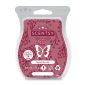 Spiced Berries Scentsy Bar