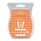 Stroopwafel Delight Scentsy Bar