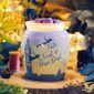 Tinkerbell Scentsy Warmer