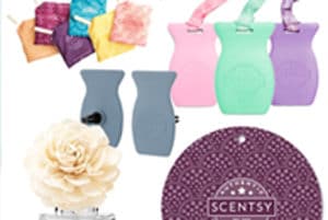 Scentsy UK Unplugged Products