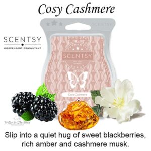 Cosy Cashmere Scentsy Bar