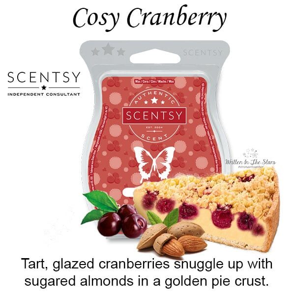 Cosy Cranberry Scentsy Bar