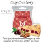 Cosy Cranberry Scentsy Bar