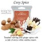 Cosy Spice Scentsy Bar