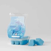 Mythic Journey Scentsy Bar - Frozen 2