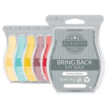 6-BBMB-Scentsy-Bars 6 BBMB Scentsy Bars