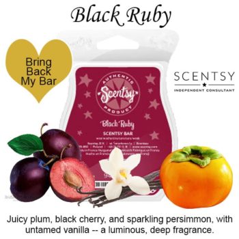 Black Ruby Scentsy Bar