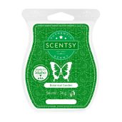 Botanical Garden Scentsy Bar