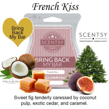 French Kiss Scentsy Bar French Kiss Scentsy Bar
