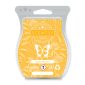 Ginger Blossom Scentsy Bar