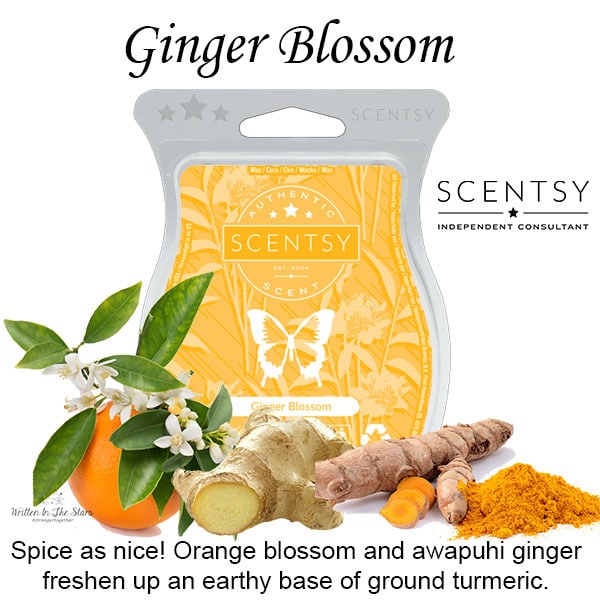 Ginger Blossom Scentsy Wax Melt