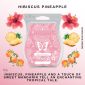 Hibiscus Pineapple Scentsy Bar