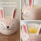 Hip Hop Hooray Scentsy Warmer