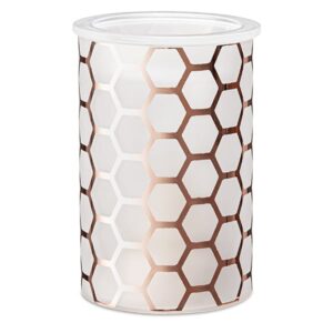 Hive a Nice Day Scentsy Warmer