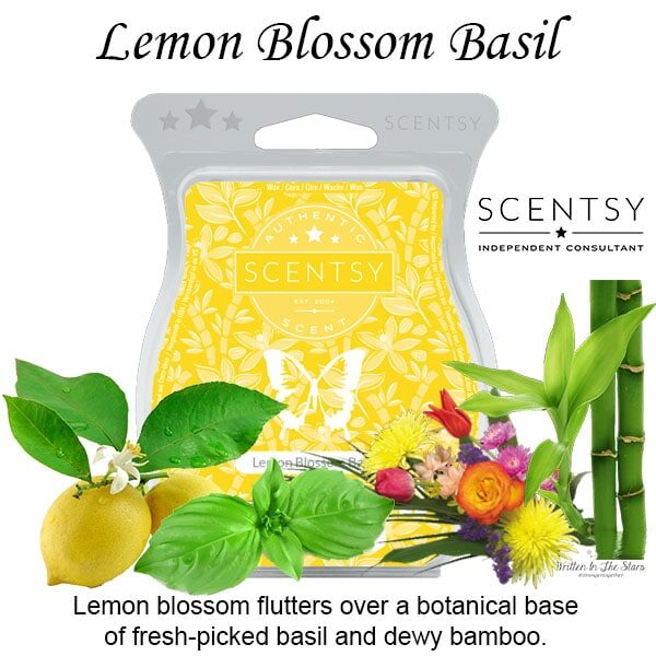 Lemon Blossom Basil Scentsy Wax Melt