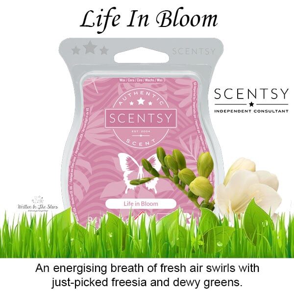 Life In Scentsy Bar