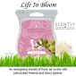 Life In Scentsy Bar