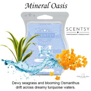 Mineral Oasis Scentsy Bar