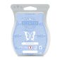Mineral Oasis Scentsy Bar