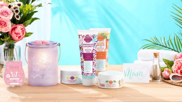 rejoin scentsy 2022 rejoin scentsy 2022
