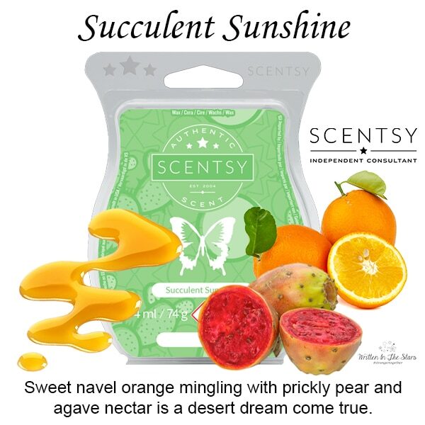 Succulent Sunshine Scentsy Bar