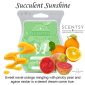 Succulent Sunshine Scentsy Bar