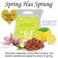 Spring Has Sprung Scentsy Bar