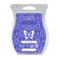 Be Fabulous Scentsy Bar