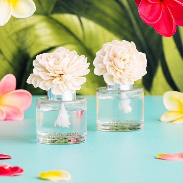 Hibiscus Water Fragrance Flower