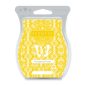 Pineapple en Fuego Scentsy Bar