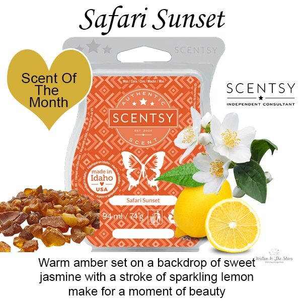 Safari Sunset Scentsy Bar