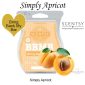 Simply Apricot Scentsy Bar