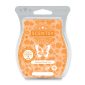 Autumn Road Trip Scentsy Bar