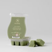 Coco Lime Scentsy Bar
