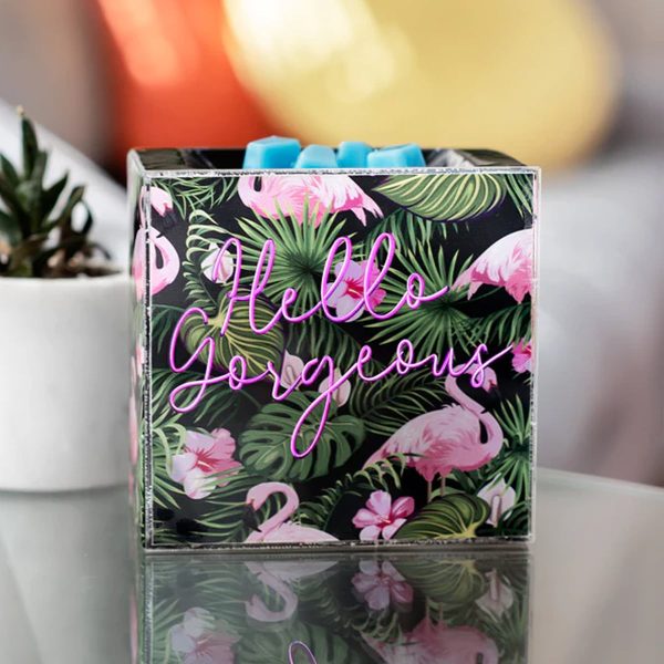 Hello, Gorgeous! Scentsy Warmer