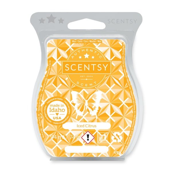 Iced Citrus Scentsy Bar