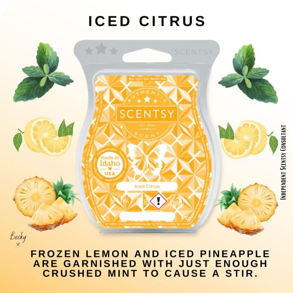 Iced Citrus Scentsy Bar