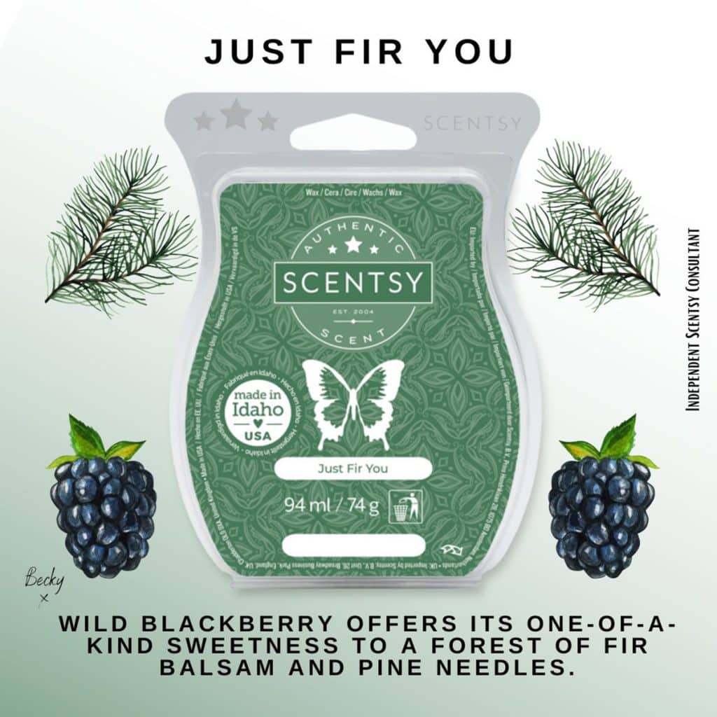Just Fir You Scentsy Bar The Candle Boutique Scentsy UK Consultant
