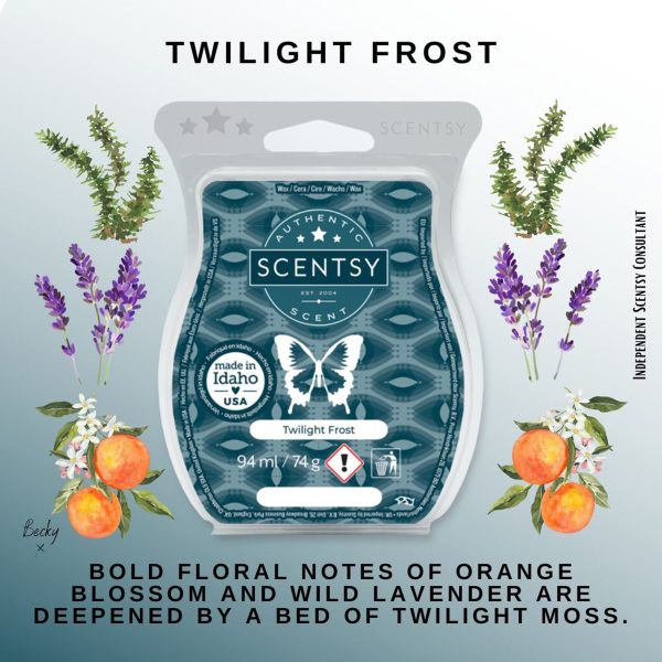 Twilight Frost Scentsy Wax Bar