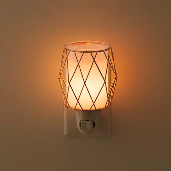 Wire You Blushing Scentsy Plugin Mini Warmer Real Life