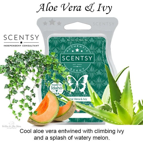 Aloe Vera and Ivy Scentsy Bar