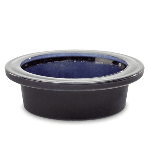 Autumn Light - Replacement Scentsy Dish