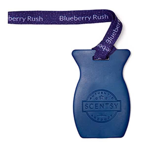 Blueberry Rush Scentsy Car Bar