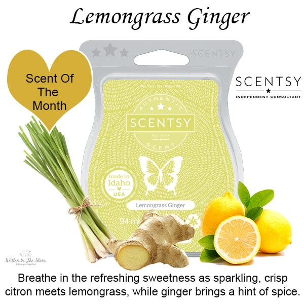 Lemongrass Ginger Scentsy Bar