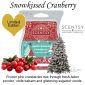 Snowkissed Cranberry Scentsy Bar