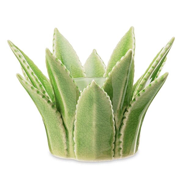 Aloe Vera Scentsy Warmer