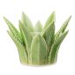 Aloe Vera Scentsy Warmer