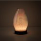 Ascend Scentsy Diffuser