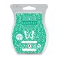 Jade & Jasmine Scentsy Bar