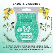 Jade & Jasmine Scentsy Bar